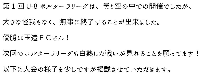 第1回Pリーグ本文